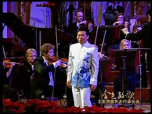 Wang Hongwei 王宏伟 - Almihan 阿拉木汗