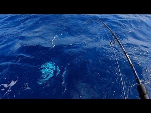 荒れる宮古島近海の水深30mでジギングしたらまさかの大物高級魚に一同騒然