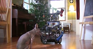 Microsoft robotics developer builds remote dog-sitting bot