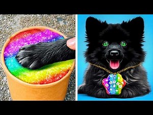 VIP Cat vs Streetwise Dog! 🐱🐶 Epic Pet DIYs & Cool Gadgets You Must Try by 123GO!