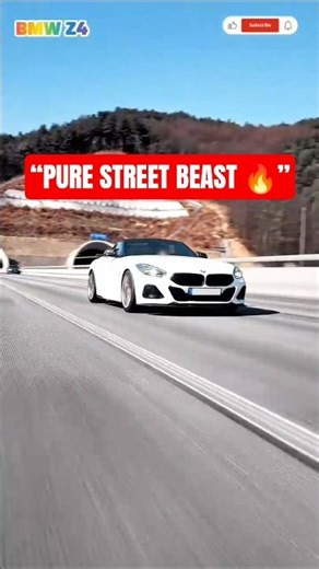 BMW Z4 Is the Perfect Street Beast 🔥