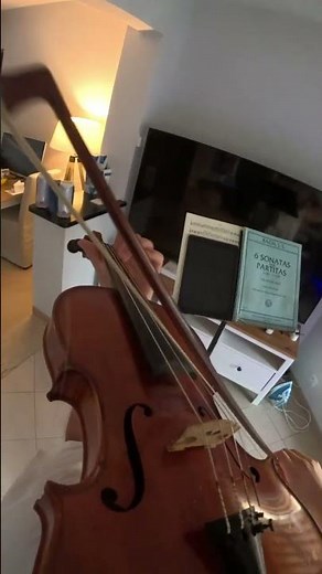 Amazing violin #8 🎻 #shorts #shortsvideo