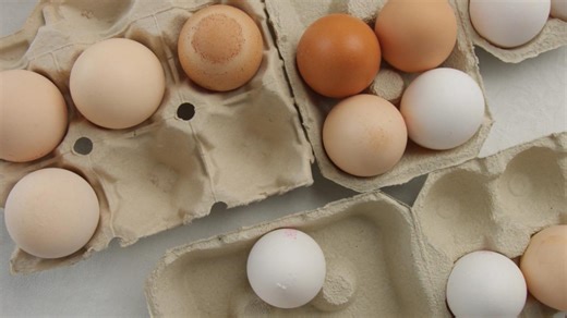 Major egg recall as salmonella outbreak sickens dozens