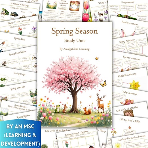 Spring Season Study Unit Printable, Frog, Squirrel, Daffodil, Tulip, Montessori Nature, Homeschool, Spring Animals, Plants, Kids Activities - Etsy