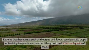 10 Devastating Effects of Climate Change You Need to Know