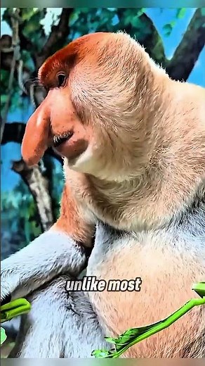 What Makes This Ugly Monkey So Powerful? #animalshorts #wildlife #animals #animalsfacts #monkey