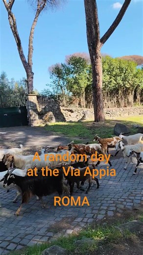 A random day walking in the Via Appia in Rome #rome #roma #romantic #italy