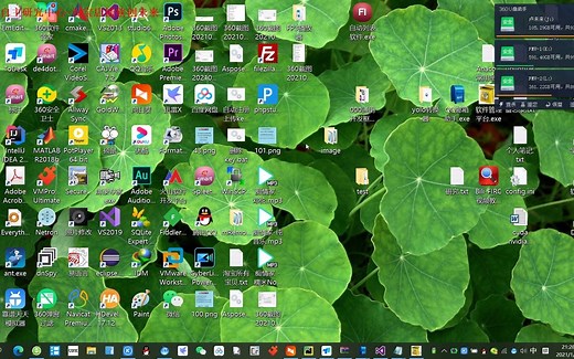 yolo格式txt转xml供labelImg读取视频教程