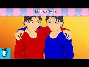 Identical Twins Learn for Children and Kids | EDUKID Learning