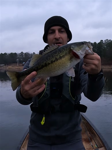 Tips for Catching Big Bass on Brush Piles