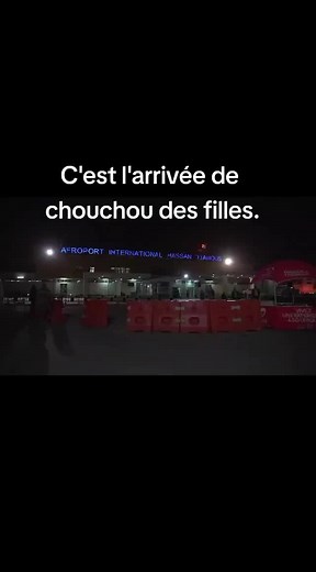 Nighttime Airport Arrival and Welcome Scenes