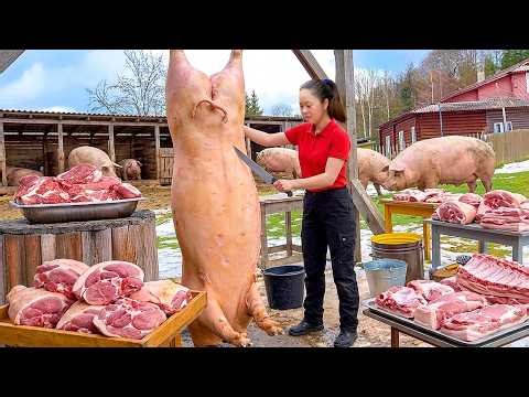 Harvesting a 180 Kg Pig the Traditional Village Way | Instructions on how to make smoked pork
