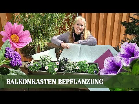 Balkonkasten Bepflanzung für den Sommer - Teil 1: Sonniger Standort