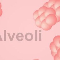 Video: Respiratory Exam I: Palpation, Chest and Peripheral Examination