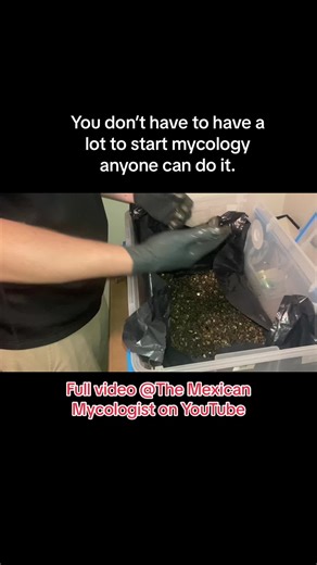 the Mexican mycologist on TikTok