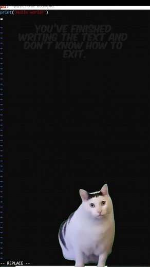 how exit in vim