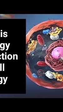 What is cytology Introduction to cell biology