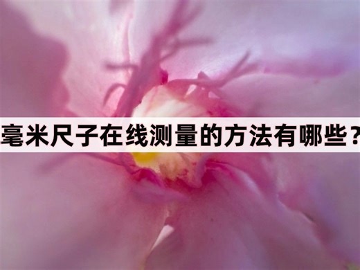 毫米尺子在线测量的方法有哪些？试试看这样测量