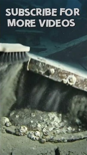 “A Solid Gold Mask With Rare Musgravite Inlays Hidden Under the Ship’s Floor” Sea Finds