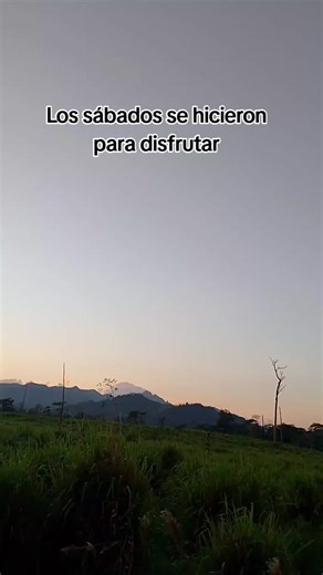 Los sábados se hicieron para disfrutar: beber hasta el amanecer