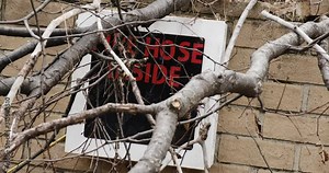 Red fire hose inside sign covered by dry tree branches leaning against a brick structure.