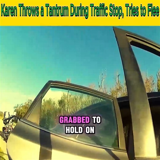 127K views · 3.2K reactions | Karen Throws a Tantrum During Traffic Stop, Tries to Flee #bodycamera #policevideos #cops #copwatch #Bodycam #police #audits #crime | Cops Karen | Facebook