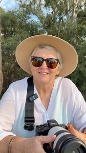 15K views · 21 reactions | Let’s talk shutter speeds Try not to...