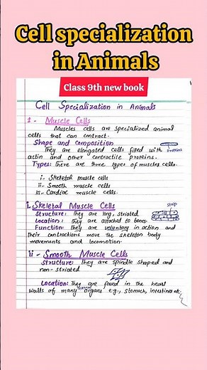 cell specialization in animals#biology #9thnewbiology