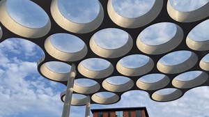 Extremely unique: Why the Koploper train design surprise passengers around the world?