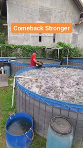 Try again until success becomes a habit #CatfishFarming #ActiveCatfish #AquacultureLife #FishFarmers #SustainableFarming #GrowWithPassion #AquacultureJourney #FishFarmingGoals #CatfishGrowers | Bhara Pratama