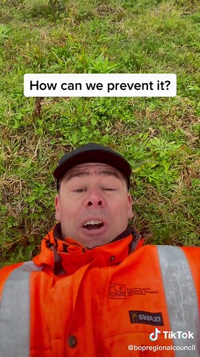 Understanding Different Types of Erosion: Rill and Gully Erosion Explained