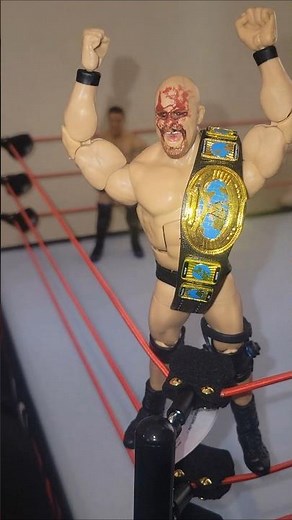 WWE diorama bloody Stone Cold display #WWE #mattel #diorama