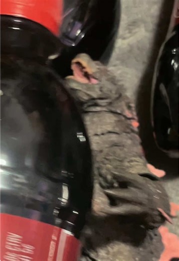 15 bottles of Dr Pepper- #Godzilla #drpepper | dr pepper