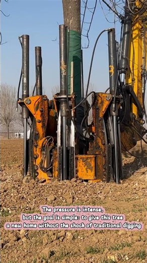 Very Sophisticated! This is How Giant Machines Move Big Trees #Teknologi #AlatBerat #TreeSpade