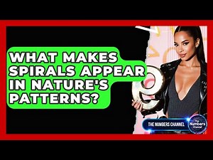 What Makes Spirals Appear In Nature's Patterns? - The Numbers Channel