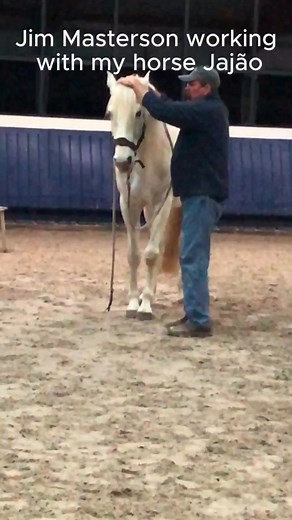 Watch this clip from a Masterson Method®️ demo Jim gave in The Netherlands a few months ago. Here he is, sharing a great tip on how to do the Head Down technique. Video courtesy of Lucie Klaassen. #MastersonMethod #Horseperformance #BeyondHorseMassage #EquineBodywork #Horsecare #Mastersoneducation #Horseconnection #equestrianlife #horselovers | The Masterson Method, Integrated Equine Performance Bodywork