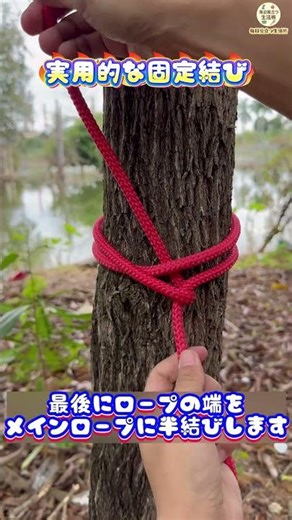 【スローモーションで結び方】超強力な固定結び！この方法を学べばしっかり固定できる！🔗 #ロープ結び #DIYテクニック #実用技