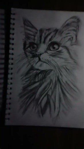 #SKETCH OF A CUTE CAT