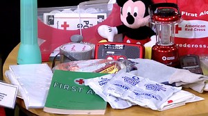 How to Prepare Your Family's Disaster Kit