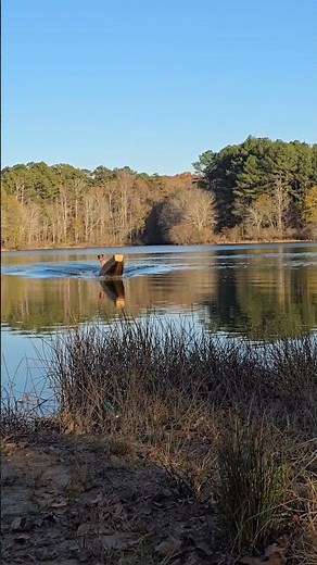Wooden canoe made by NBC ‪@nbconstructon‬