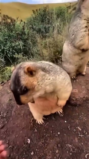 24 декабря 2025 г.