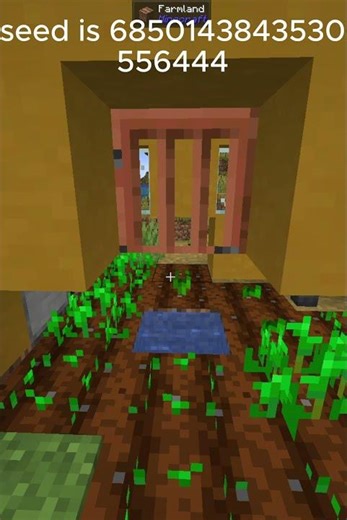 rare seed minecraft java