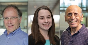 Michael Hecht, Leah Spangler and Sarangan Chari: Semiconductor quantum dots using artificial proteins