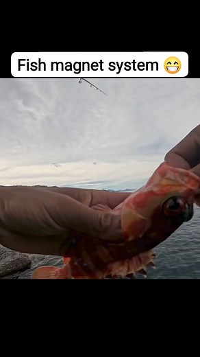 Also known as fish catching machine #fishing #troutfishing #catchandrelease #tutorial | Ely Madamba