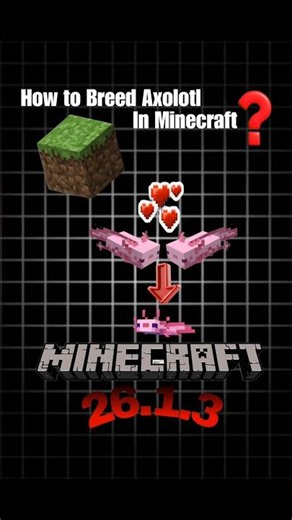How to Breed Axolotl in Minecraft ? ⛏️🐟💡| #majboor #minecraft #minecraftshorts #tips #axolotl #ai|