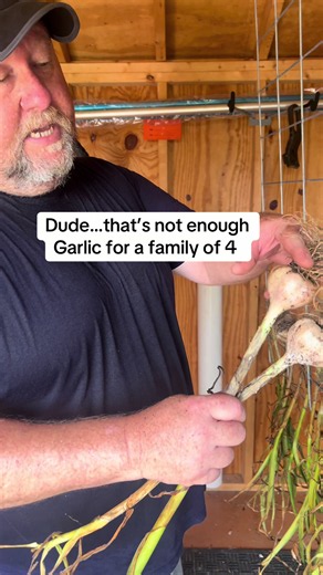 Growing and storing Garlic and Onions that will last us all year. Here is Gardener Clark answering all the comments we have gotten over the last 5 years. #garlic #onion #gardener