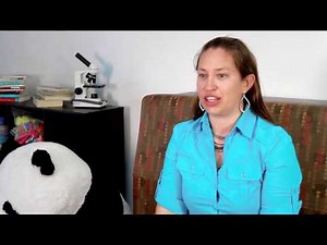 True Alignment to the NGSS