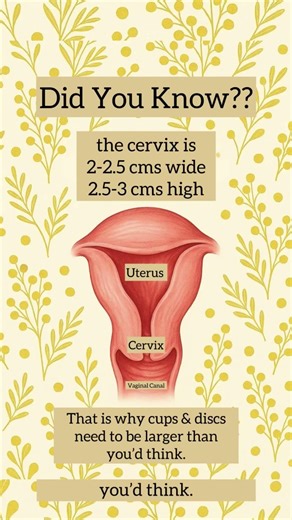 Did you know your cervix is about the size of a small cookie?
