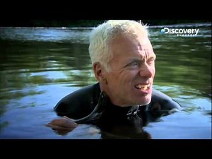 Sea Lamprey | River Monsters