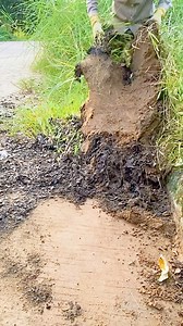 13K views · 189 reactions | Extreme Sidewalk Cleanup ASMR – Thick Grass Removed | Mr Doma | Facebook